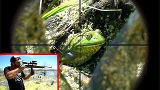 Epic SCOPE CAM Bullfrog Hunting Catch Clean Cook [upl. by Laud103]