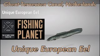 Unique European Eel  GhentTerneuzen Canal Netherlands  Fishing Planet Guide [upl. by Linda]