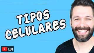 TIPOS DE CÉLULAS Tipos Celulares  Biologia com Samuel Cunha [upl. by Halden]