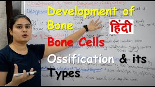 Development of Bone in Hindi  Bone Cells  Ossification amp its Types [upl. by Ahsasal]