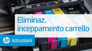 Eliminaz inceppamento carrello [upl. by Eillime]