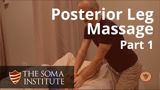 General Posterior Leg Protocol Beginning Massage Techniques Part 1 [upl. by Sil]