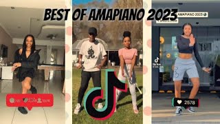 Best of TikTok amapiano dances 2023 [upl. by Cleve293]