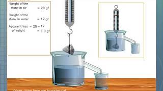 Verification of Archimedes Principle [upl. by Vogeley995]