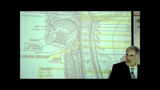 DIGESTIVE SYSTEM PART 2 PHARYNX HEAD amp NECK by Professor Fink [upl. by Drarreg]