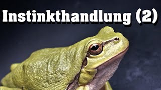 Instinkthandlung 2  Doppelte Quantifizierung [upl. by Streetman591]