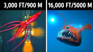 Fascinating 3D Journey to the Ocean Depths [upl. by Toll]