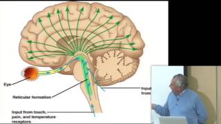 Consciousness amp Physiology I [upl. by Shurlock]