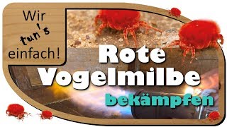 Rote Vogelmilbe bekämpfen  100 biologisch und ohne Chemie  Wir tuns einfach [upl. by Cerf]