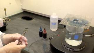 Endospore stain procedure [upl. by Vicky922]