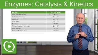 Enzymes Catalysis Kinetics amp Classification – Biochemistry  Lecturio [upl. by Nerti861]