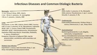 ANTACIDS PHARMACOLOGY  Mechanism of Action Uses Adverse effects [upl. by Huba]