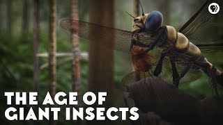 The Age of Giant Insects [upl. by Hutchings]