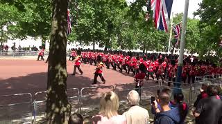 Massed bands of the Guards marching on the mall [upl. by Prudi328]