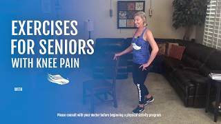 GENTLE Seated Exercises for SENIORS  Chair Exercises  Using a ball [upl. by Stanfill]