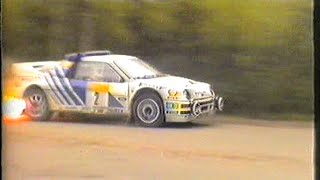 Ford RS200  South Swedish Rally 1986  Pure Sound [upl. by Fu]