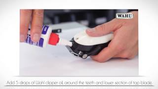 How to Oil your Wahl Clipper Blade [upl. by Claretta]