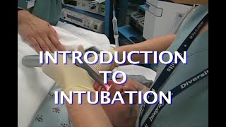 Introduction To Intubation [upl. by Leorsiy]