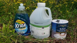 Natural Homemade Weed Killer Recipe Tested by Lawn Care Pro [upl. by Higgins]