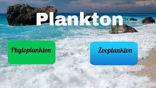 Difference between Zooplankton and Phytoplankton [upl. by Nospmis650]