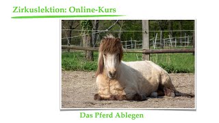 Zirkuslektionen Onlinekurs Pferd ablegen in 8 Schritten [upl. by Fassold503]