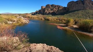 Fishing a CRYSTAL CLEAR Arizona River Bass and Trout fishing [upl. by Viviane375]