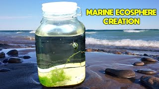 Creating a SALTWATER Ecosphere │ Marine Ecosystem in a JAR [upl. by Close157]