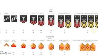 US Military Insignia of Rank [upl. by Elset]