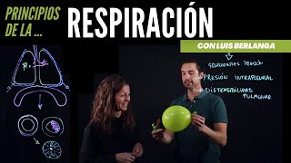 Ventilación pulmonar principios básicos de la respiración [upl. by Lanza]