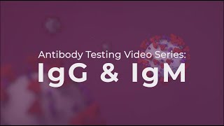 Antibody Testing IgG and IgM explained [upl. by Rania]