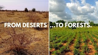 Ecosias planting sites in Lilengo Burkina Faso [upl. by Addia388]