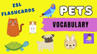 Pets Vocabulary Flash Cards English lessons for kids [upl. by Anual505]