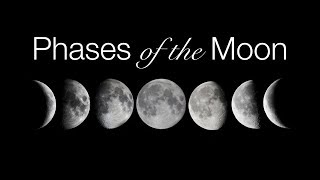 Phases and Motions of the Moon [upl. by Akenehs103]