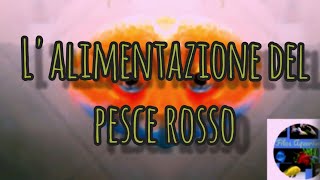 Come alimentare il pesce rosso pescirossi oranda alimentazione [upl. by Aicela289]