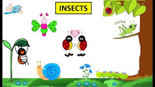 CBSE Class 4 Science Insects [upl. by Yam]