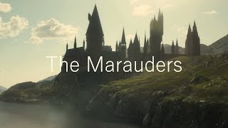 The Marauders  Trailer [upl. by Lleryd498]