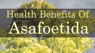 Health benefits of asafoetida [upl. by Vardon]