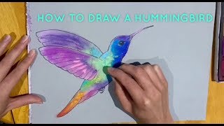 Beginners  How To Draw A Hummingbird [upl. by Kuster]