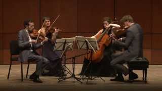 Beethoven String Quartet Op 135 in F Major  Ariel Quartet full [upl. by Rabin356]