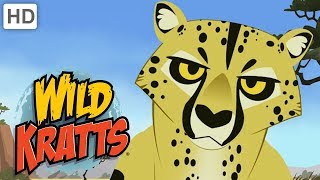 Wild Kratts 🐆🐈🦁 Cool Cats  Kids Videos [upl. by Reffinnej]