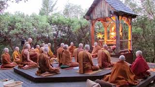 Pali Chanting In The Abhayagiri Buddhist Monastery  Theravada Buddhism [upl. by Amaerd]