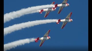 EAA AirVenture Oshkosh 2021 Air Show Performers [upl. by Aitas]