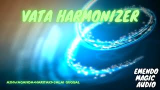 VATA DOSHA HARMONIZER [upl. by Atiuqer940]