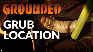 Where to find Grubs for Hide amp Goop  GROUNDED [upl. by Anaihsat]