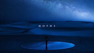 RY X  Moths [upl. by Hollis]