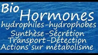 Hormones hydrophiles et hydrophobes [upl. by Johnny]