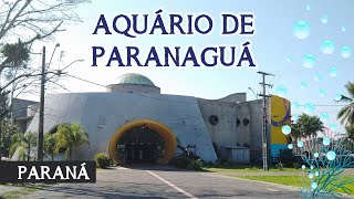 Aquário de Paranaguá no Paraná  2021 [upl. by Affrica]