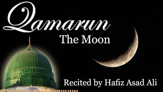 Qamarun The Moon  Arabic Nasheed  Hafiz Asad Ali [upl. by Nay]