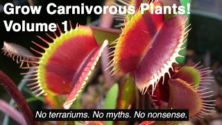 Grow Carnivorous Plants Volume 1  Venus Flytraps Sarracenia and Other Cold Hardy Plants [upl. by Erma926]