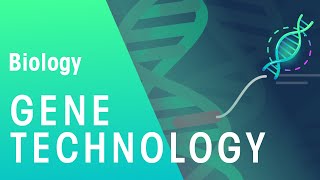 Gene Technology  Genetics  Biology  FuseSchool [upl. by Enttirb]